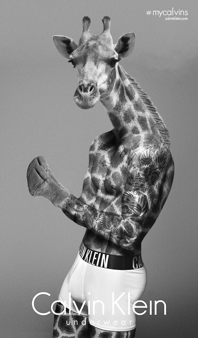 Justin Bieber's Calvin Kleins Get Photoshopped - B&T