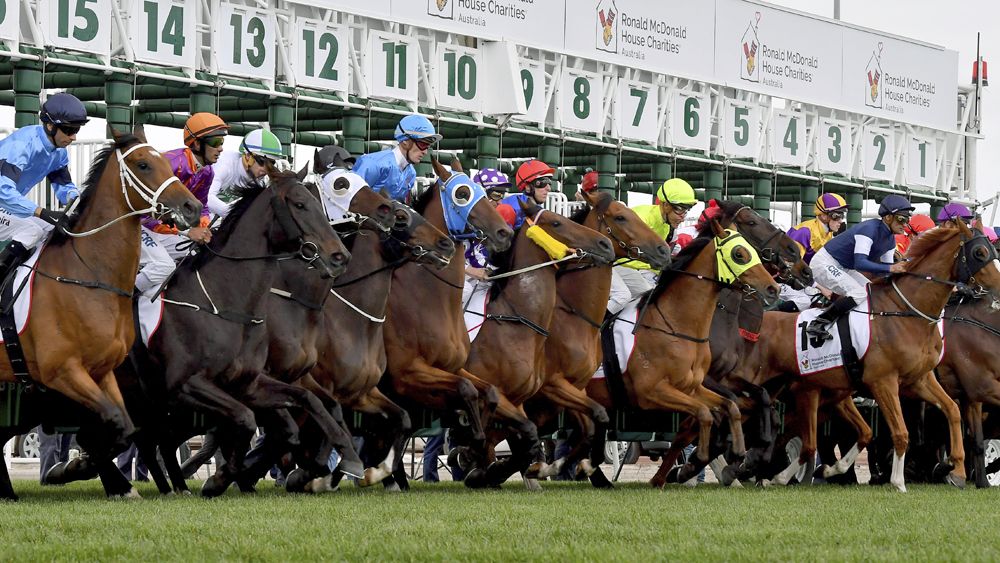 Tvg online betting horse racing box betting football lines