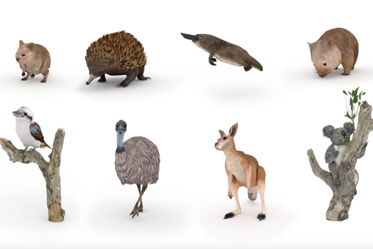 Google Launches Aussie AR Animals With New Film From Emotive - B&T