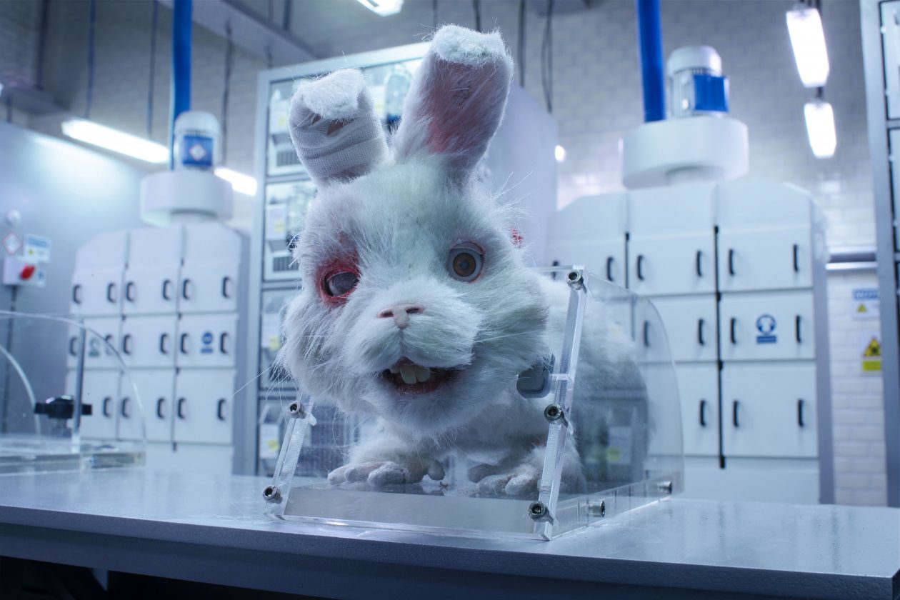 Taika Waititi Stars As A Bunny In 'Save Ralph', A Film To End Animal  Testing - B&T