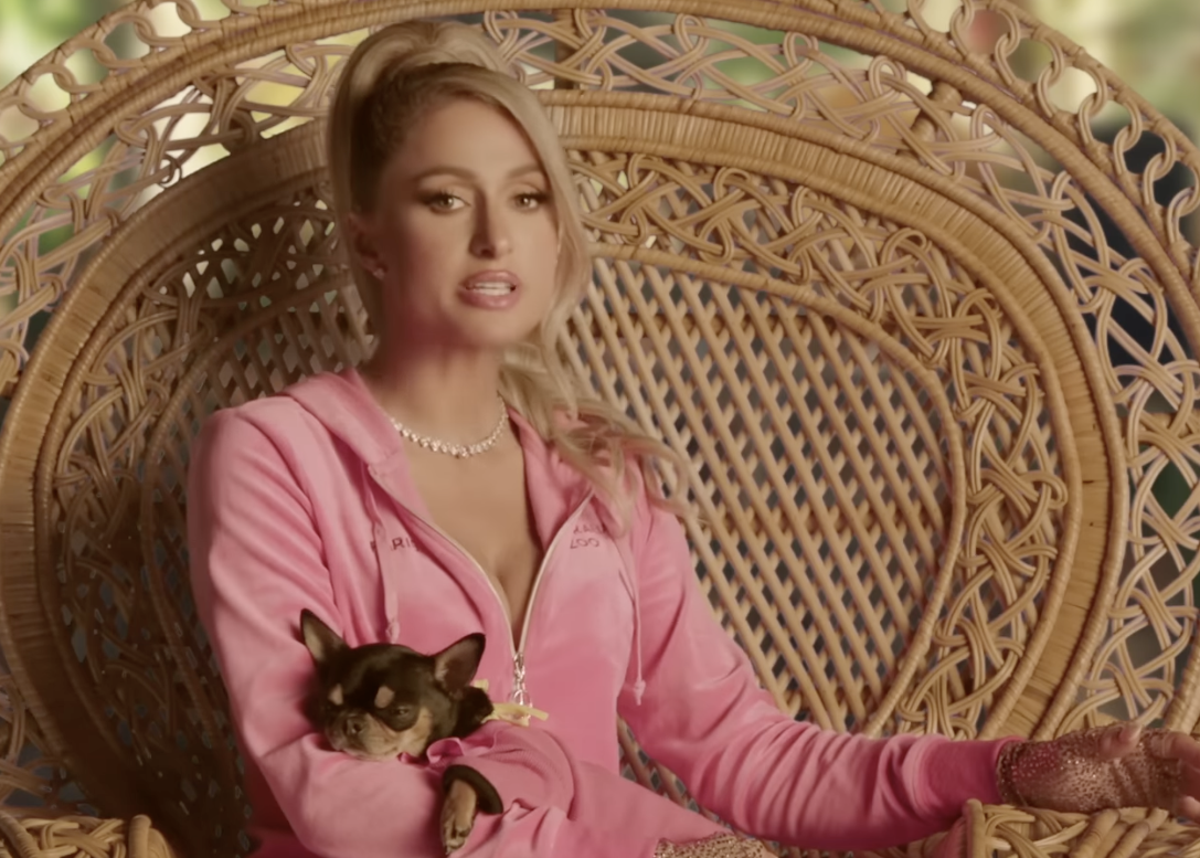 Paris Hilton, The Irwins & Shaq Star In Ad Standards' Most Complained