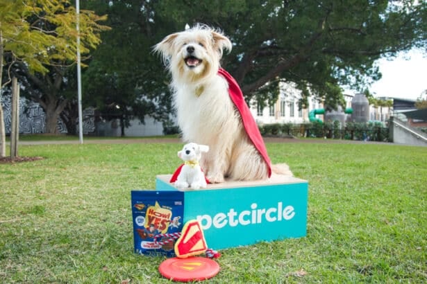 Pet Circle x Superman