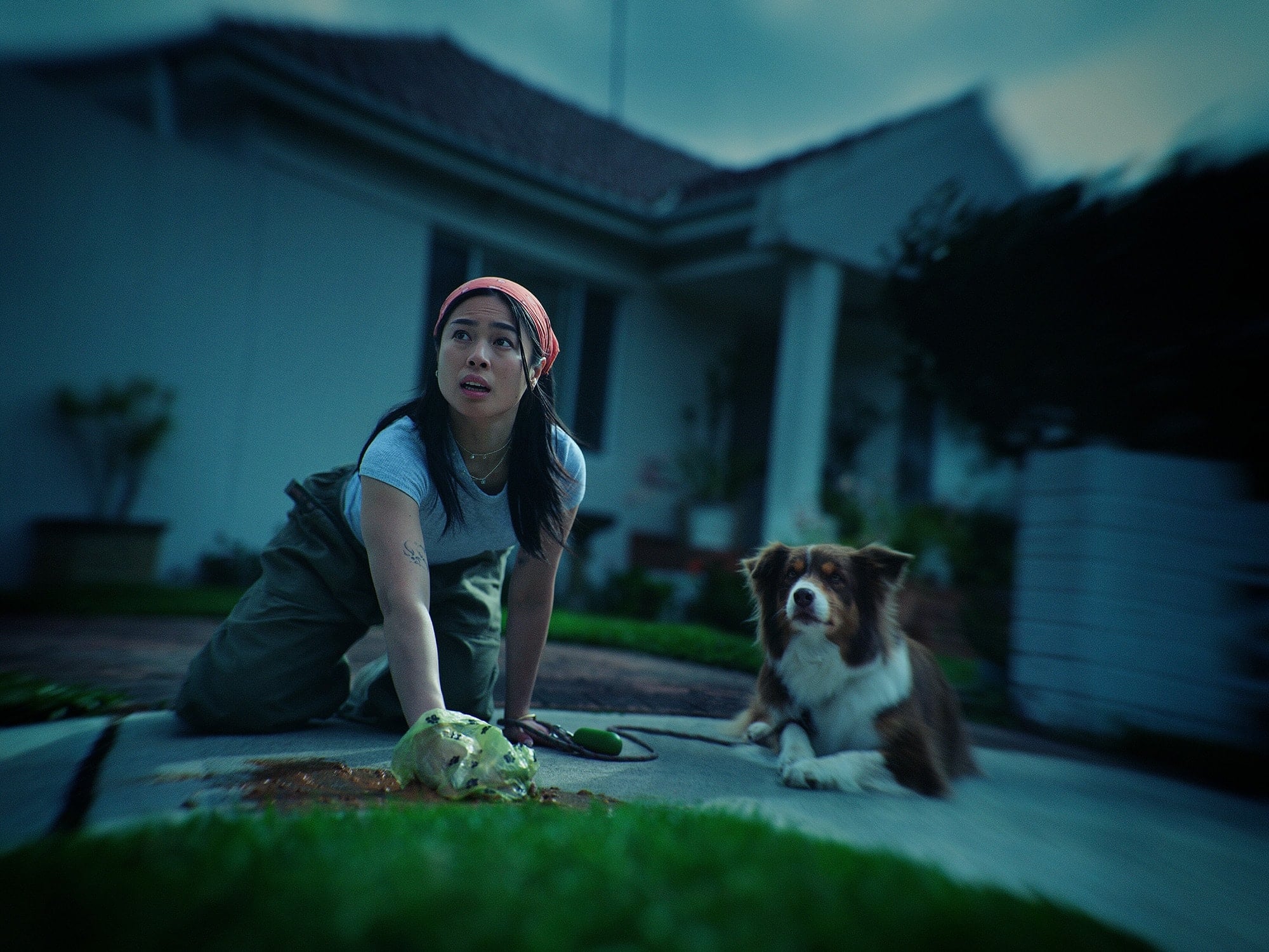 sickening-lyka-dog-food-ad-banned-from-netflix-b-t