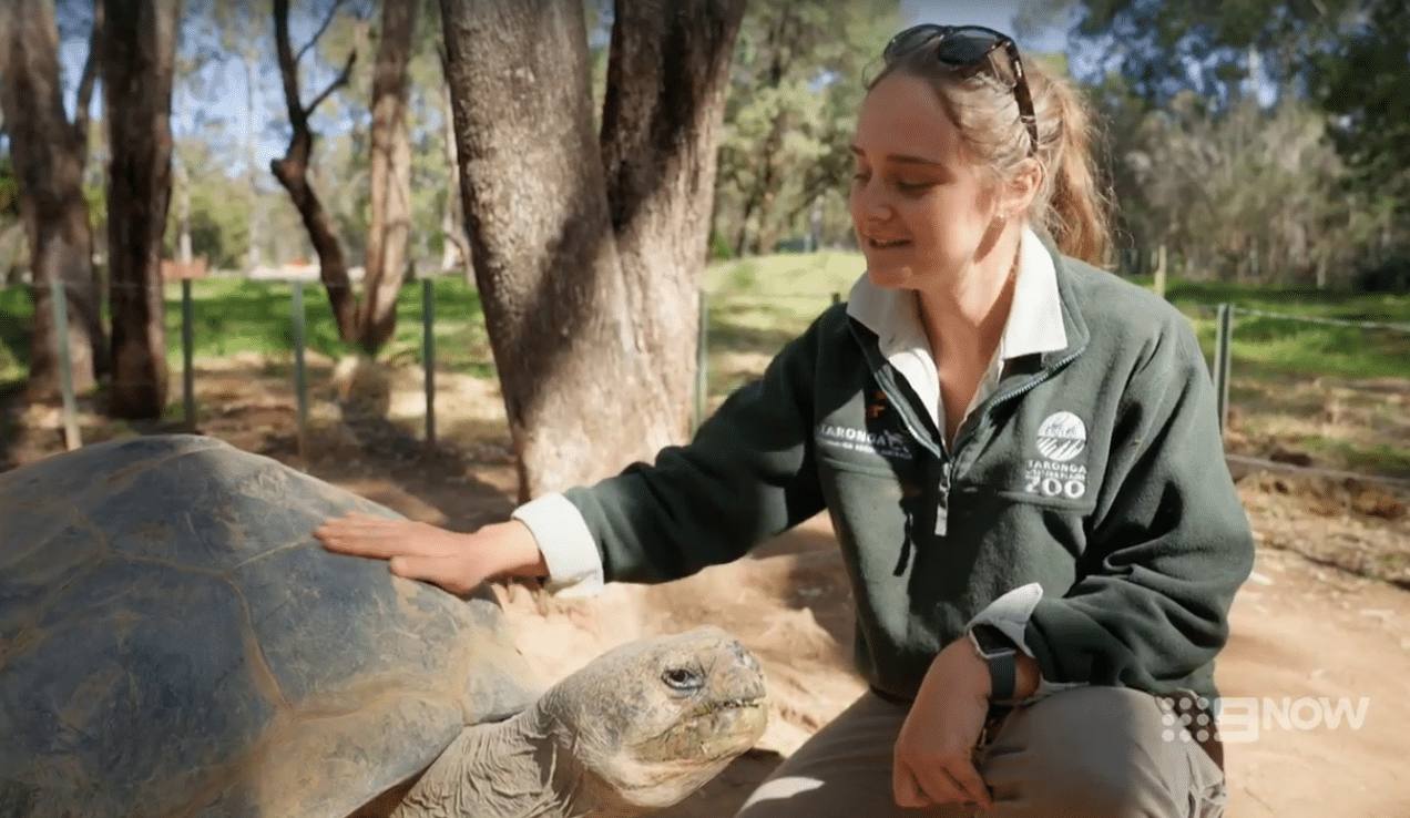 TV Ratings (9/12/2025): 1.3M People Tuned In To See Who’s Who In Taronga Zoo