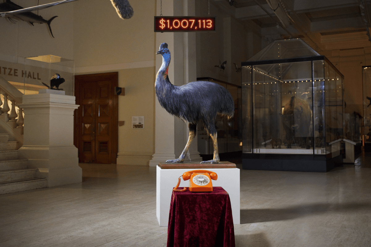 Australian Museum Raises Over $1M With Inaugural Giving Day With Help From H+C